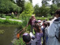 Découverte de la vie dans les bassins
